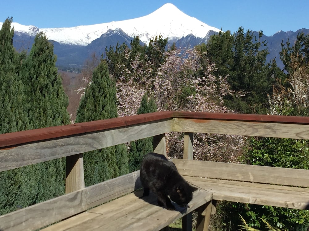 Cabañas en Pucon con vista cordillera