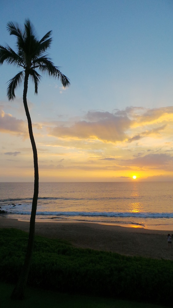Polo Beach Club Vacation Rentals - APlus Resorts