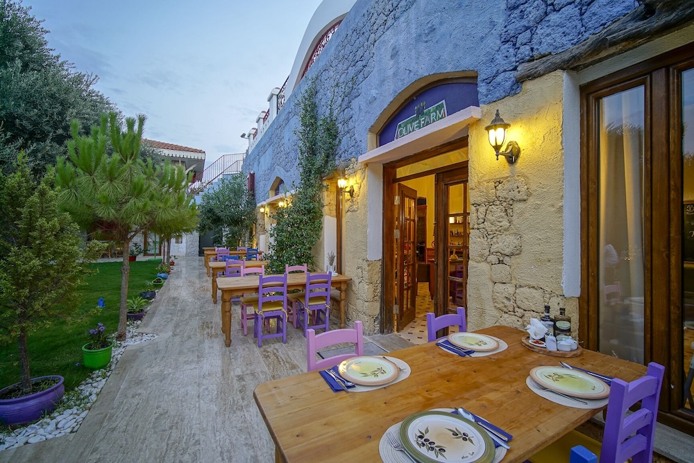 Olive Farm Of Datca