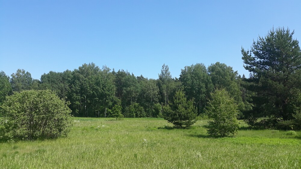 Cofy Rentals Tartu