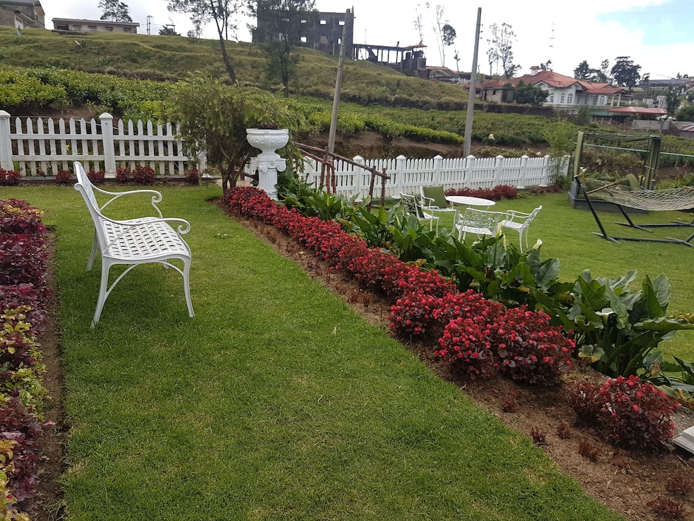 The Tea Garden