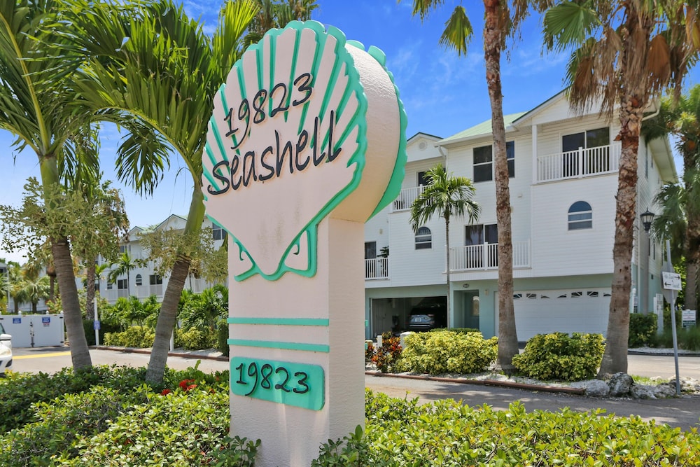 Sea Shell 28
