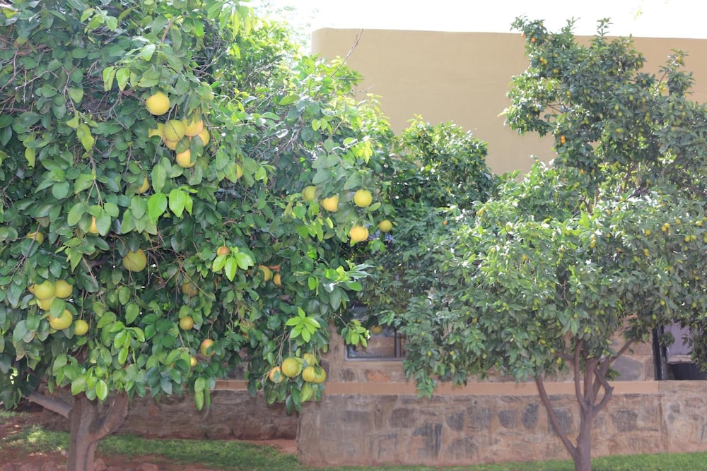 Ijaba Lodge