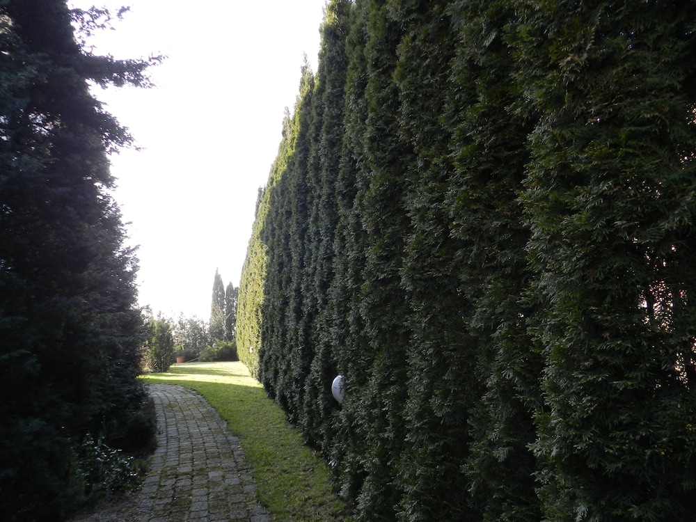 Villa ALFA