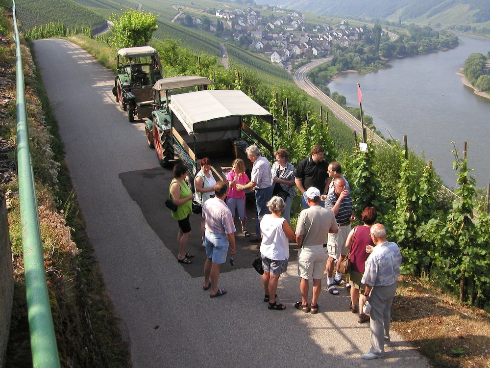 Ferienweingut Rainer Hirschen