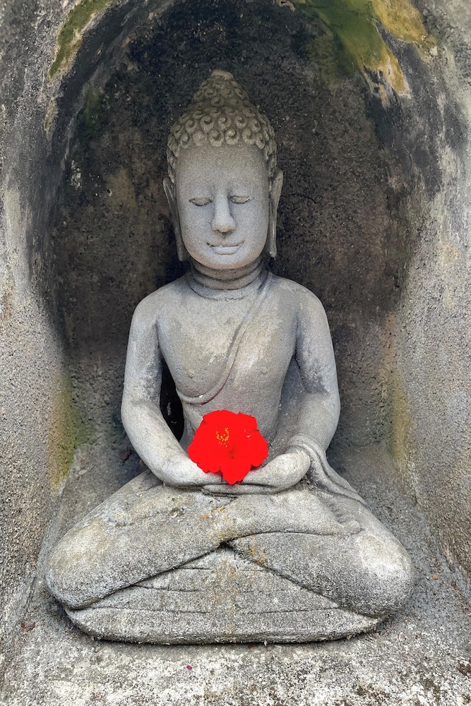 Budha House Ubud