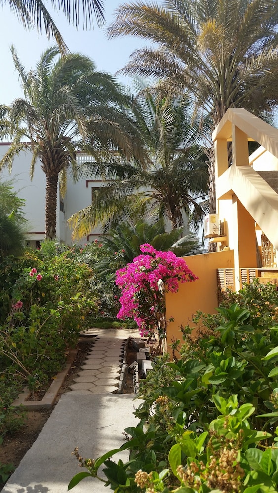 La bougain Villa view 2