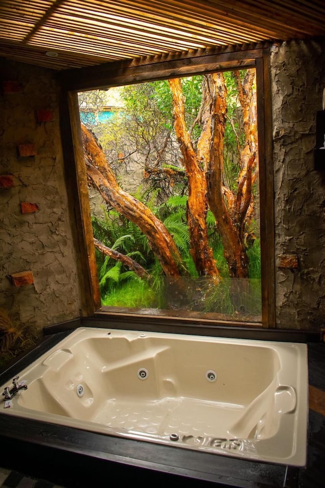 Polylepis Lodge view 5