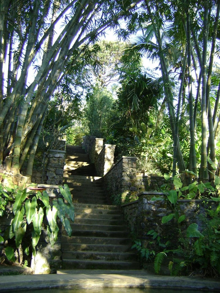 Photo 30