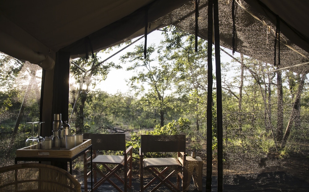 Simbavati Trails Camp view 5