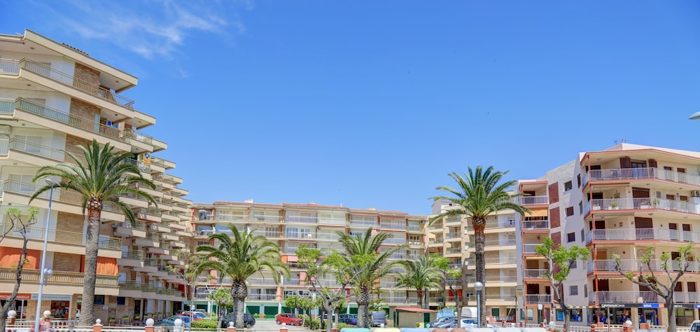 Alea Rentals - Cye view 5