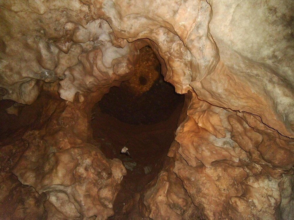 Photo 36