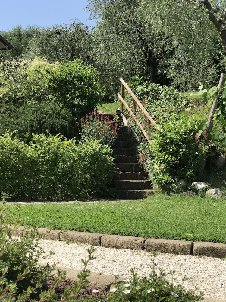 Photo 31