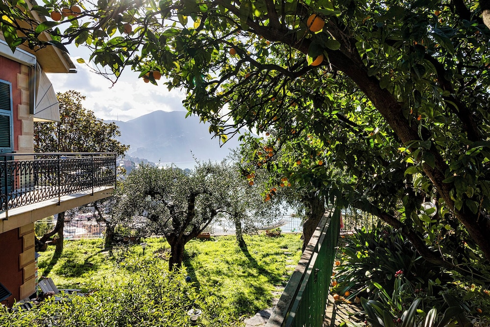 Seaview Apartment with Garden in Recco