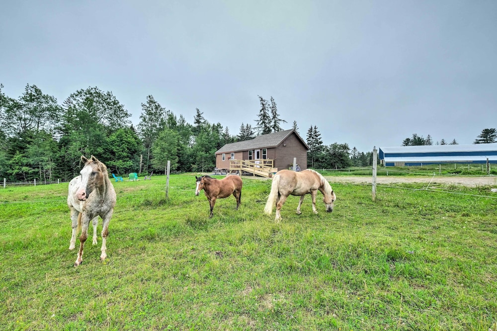Photo 25