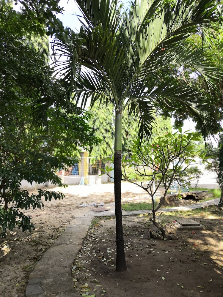 Photo 65