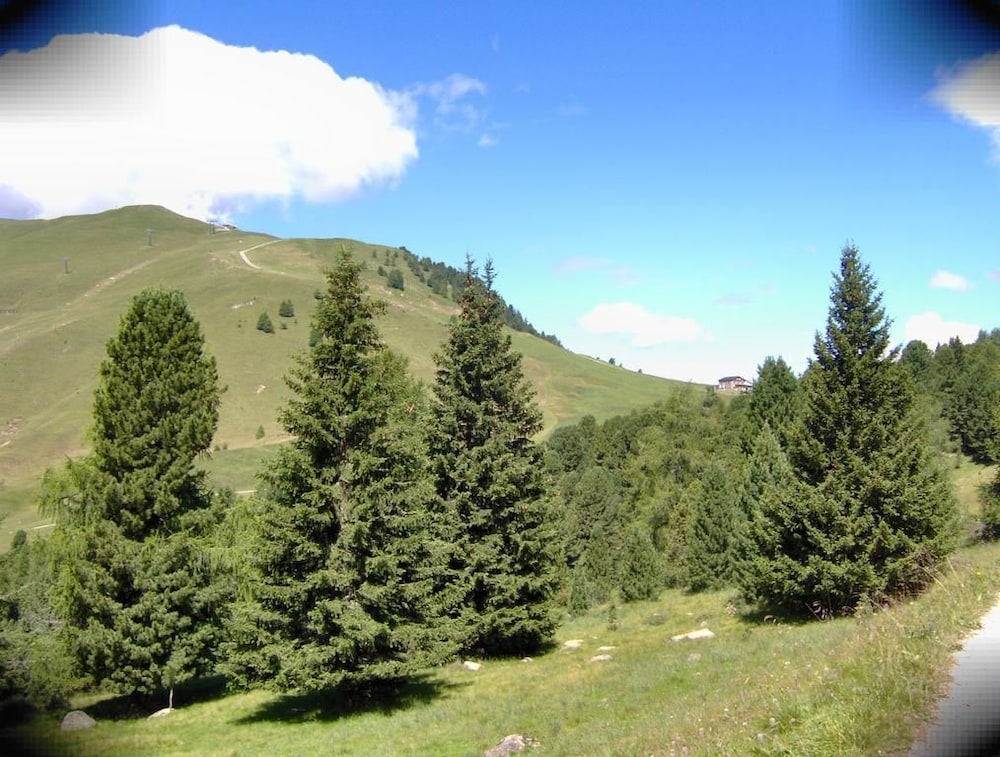 Photo 26