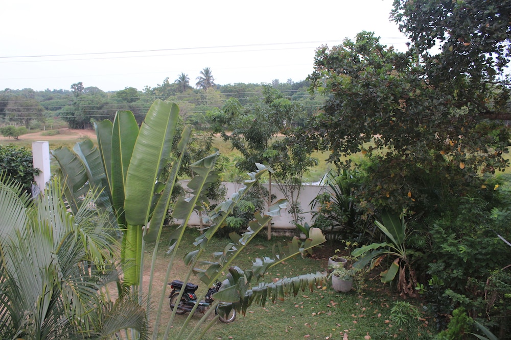 All view resort