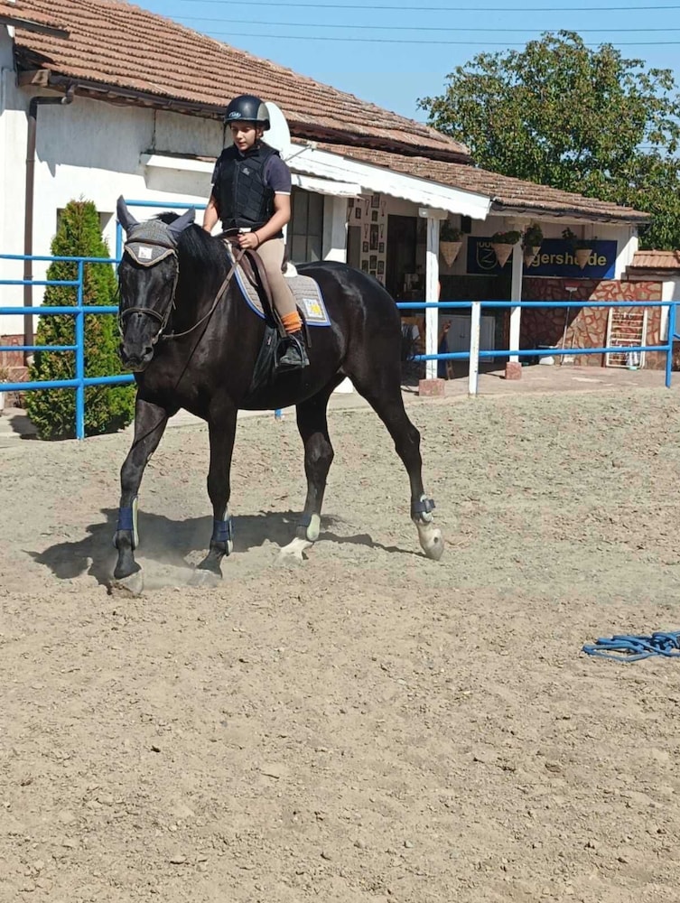 ESCUS HORSES