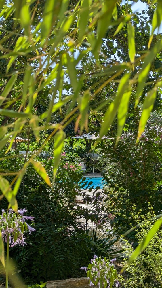 Photo 19