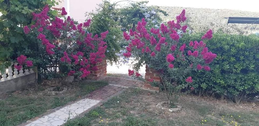 Photo 26
