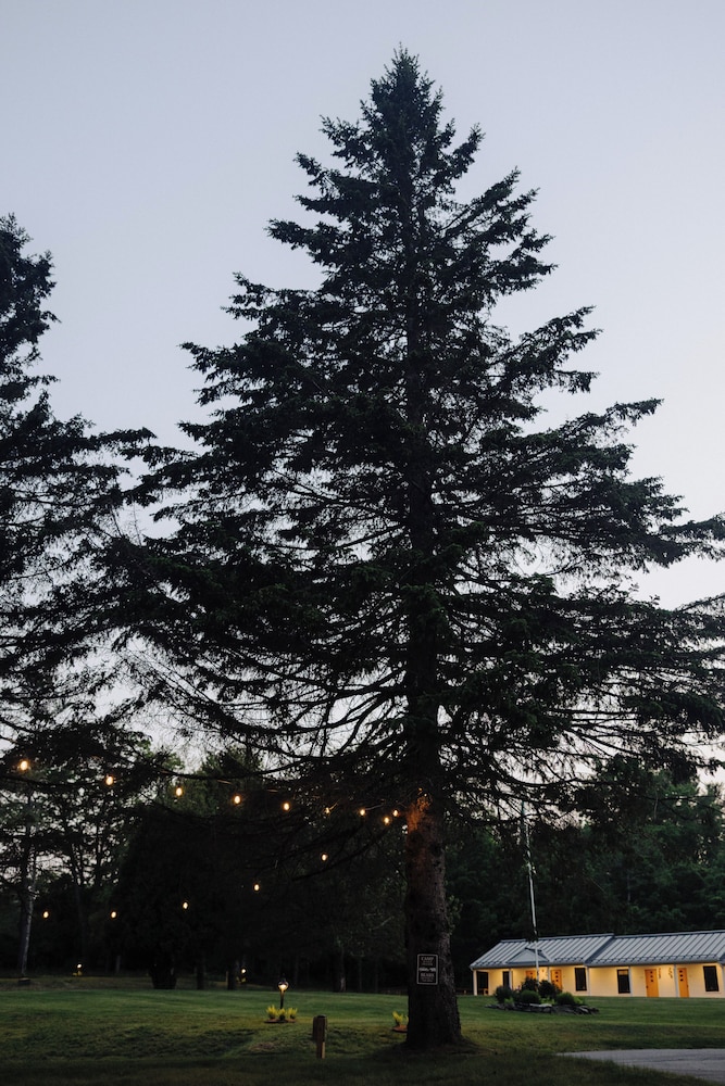 Camp DeForest