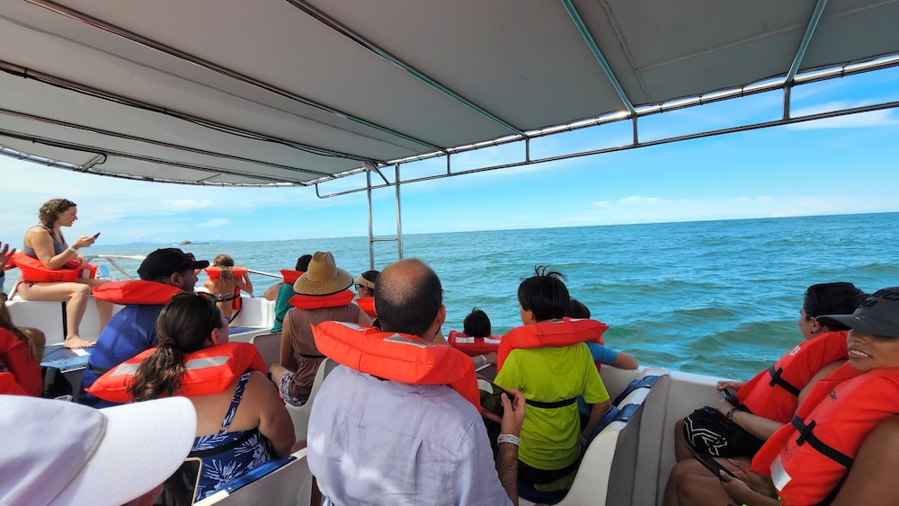 Vista Ballena