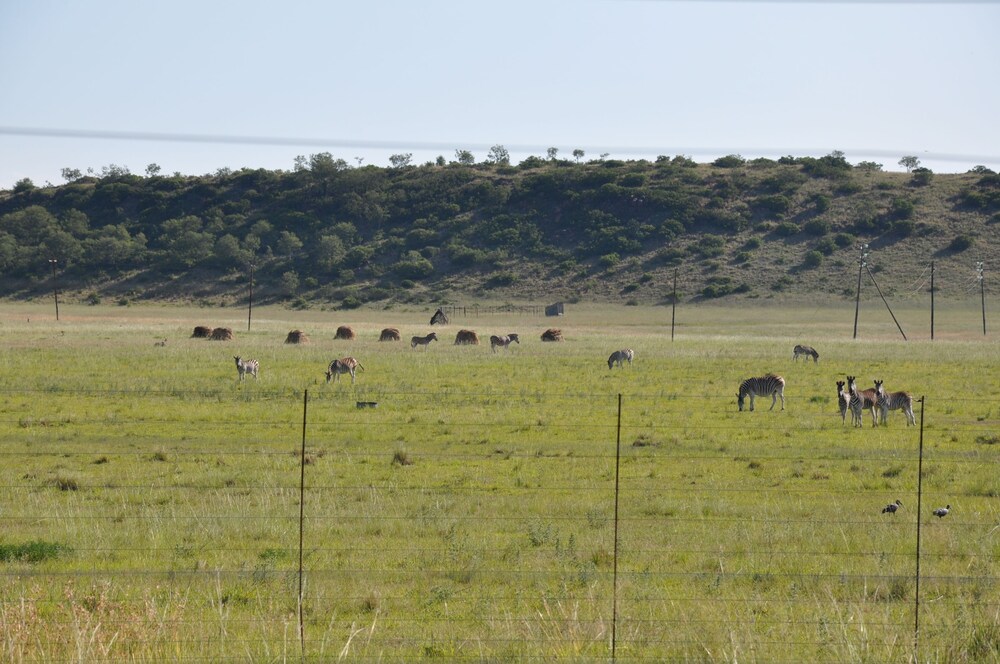 Lekoa Lodge
