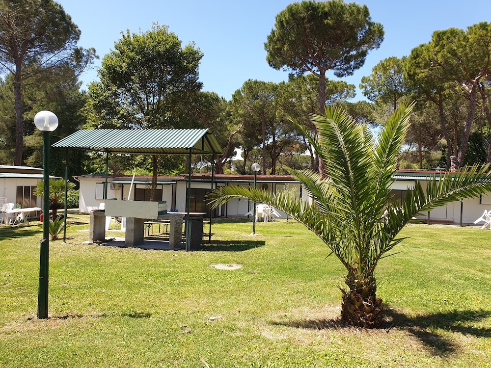 Camping Aurelia Club