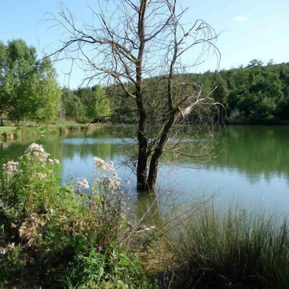 San Bernardino del Lago view 2
