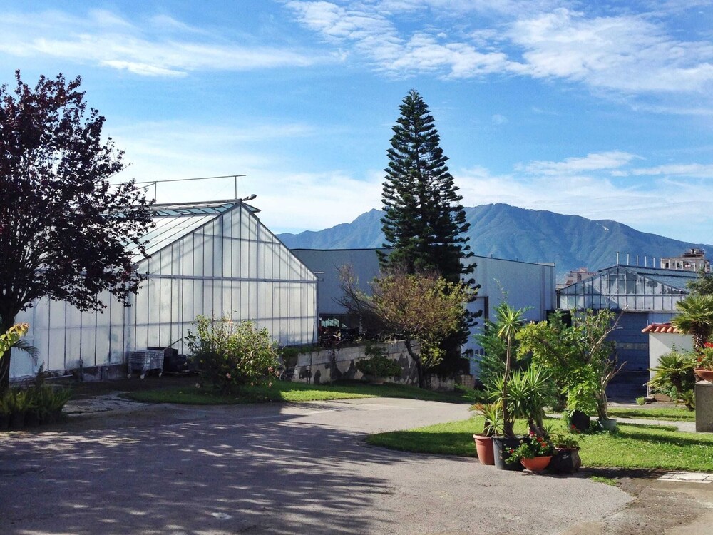 Photo 21