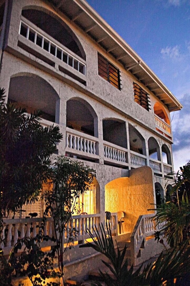 Photo 41