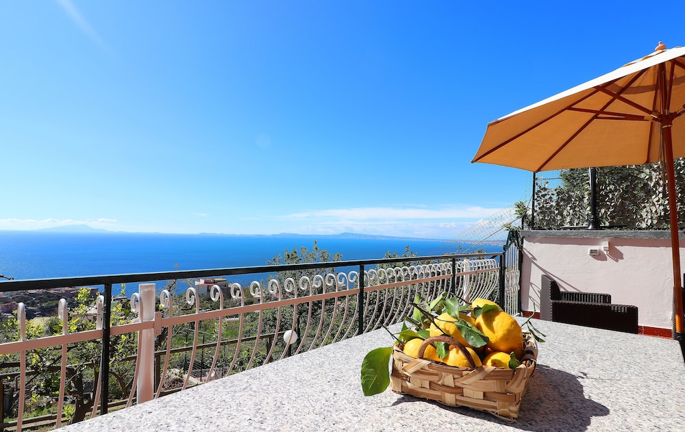 La Grazia di Totò photo 2