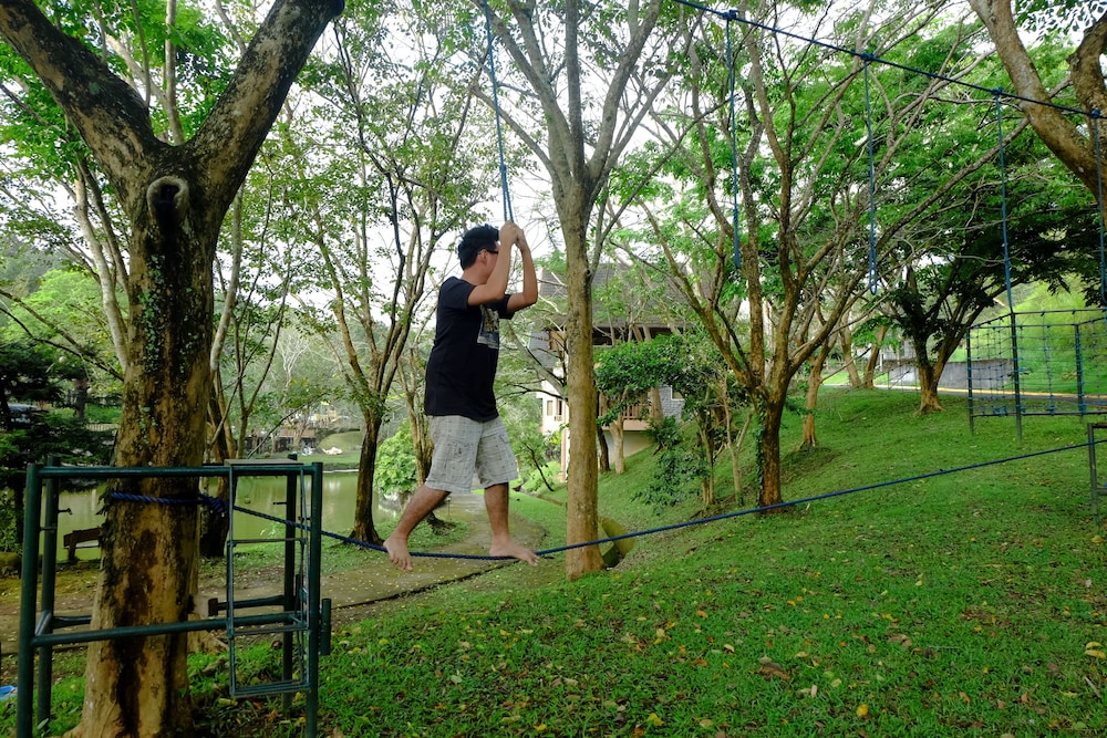 Photo 46