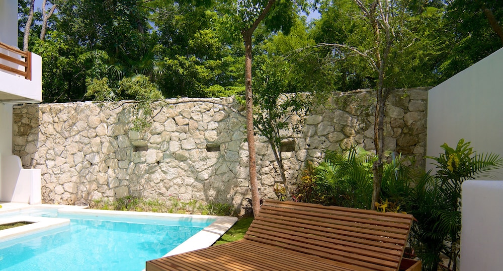 Livetulum - Property Image 8