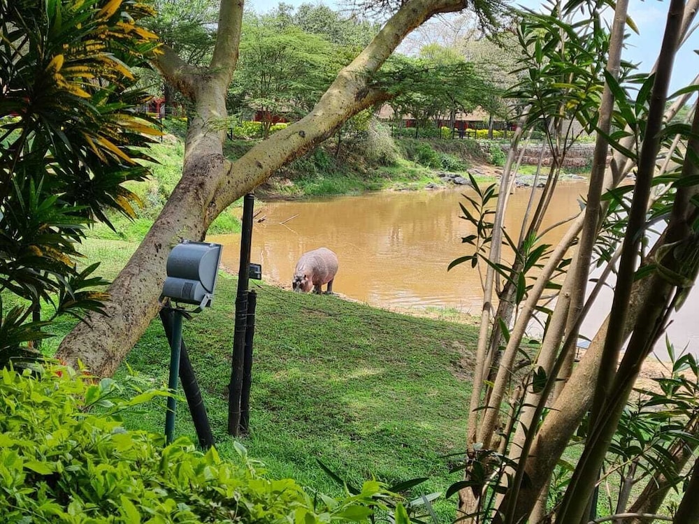 Muthu Mara River Lodge