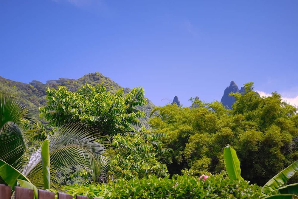 Vasion Moorea Entre Lagon et Plages de r ve