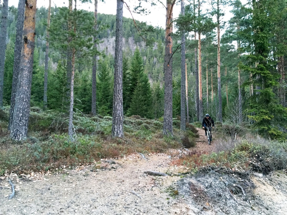 Photo 44
