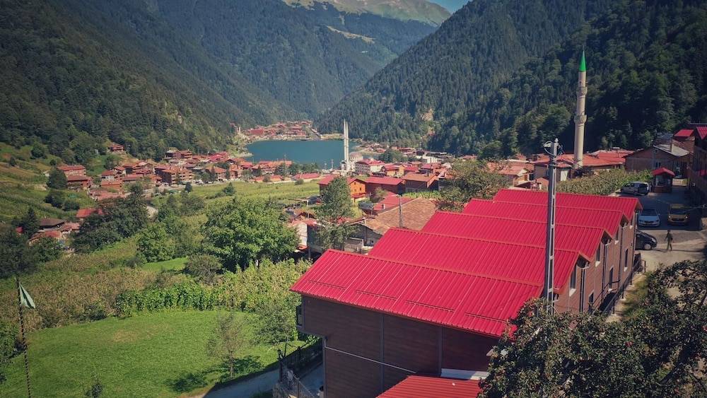 Horio view 3