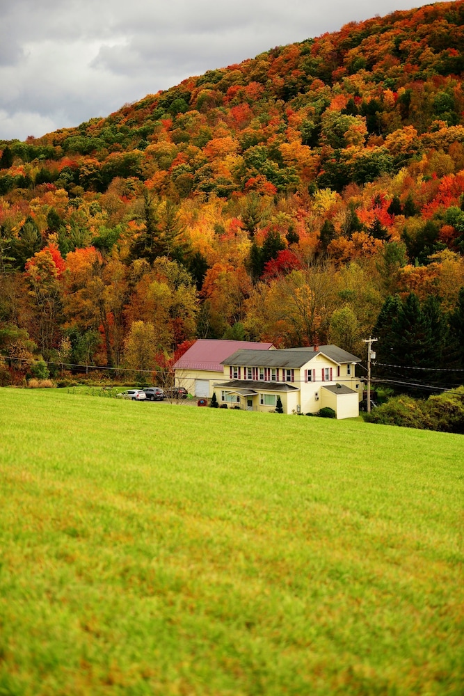 Mountain Treasure B&B