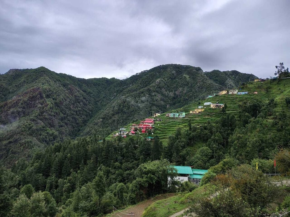 Apple Orchard Resort