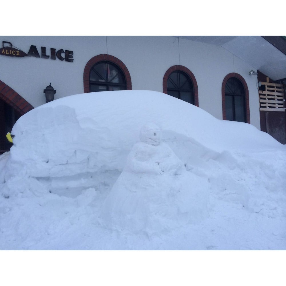 Rental Lodge WHITE RABBIT Madarao kogen Cottage ALICE