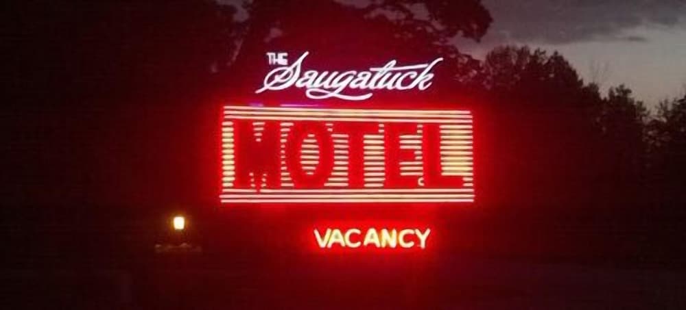 The Saugatuck Retro Resort Motel - Property Image 5