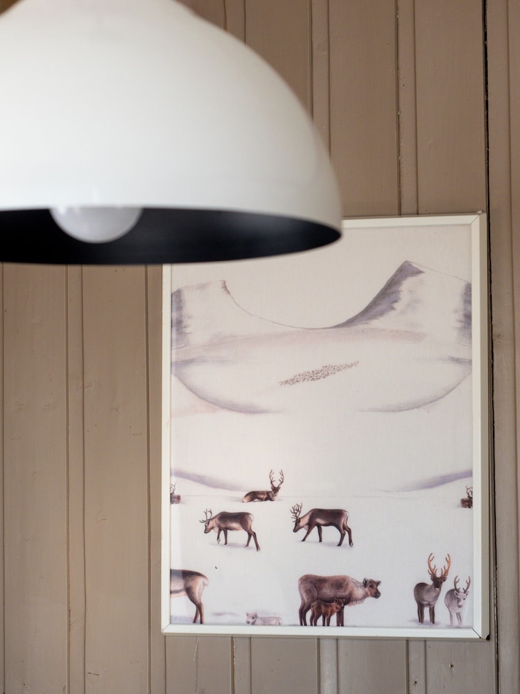 Camp Alta Kiruna