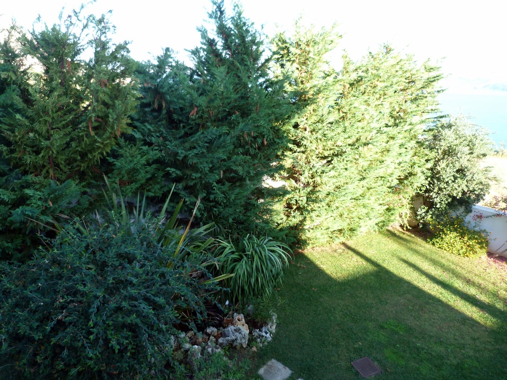 Photo 25