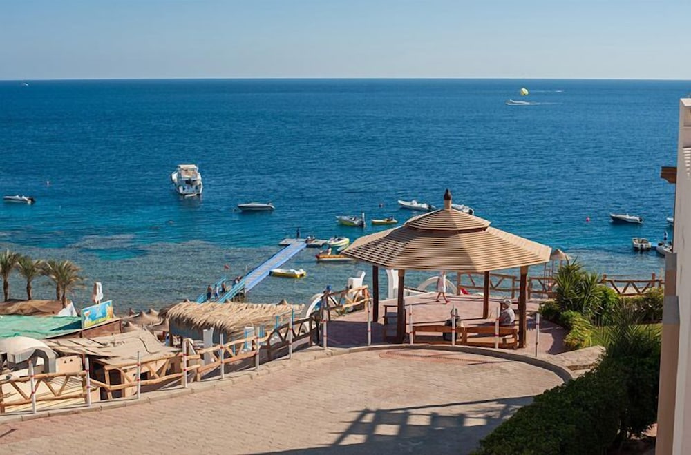 Shark Bay Oasis