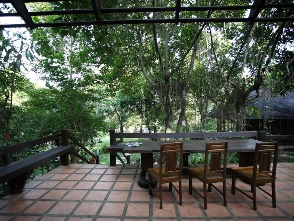 Viva Chiang Mai
