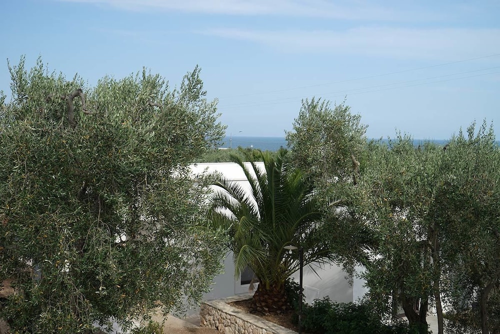 Tenuta Santa Maria