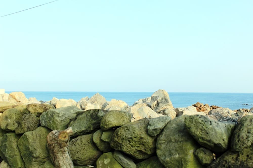 Sunny Namwon