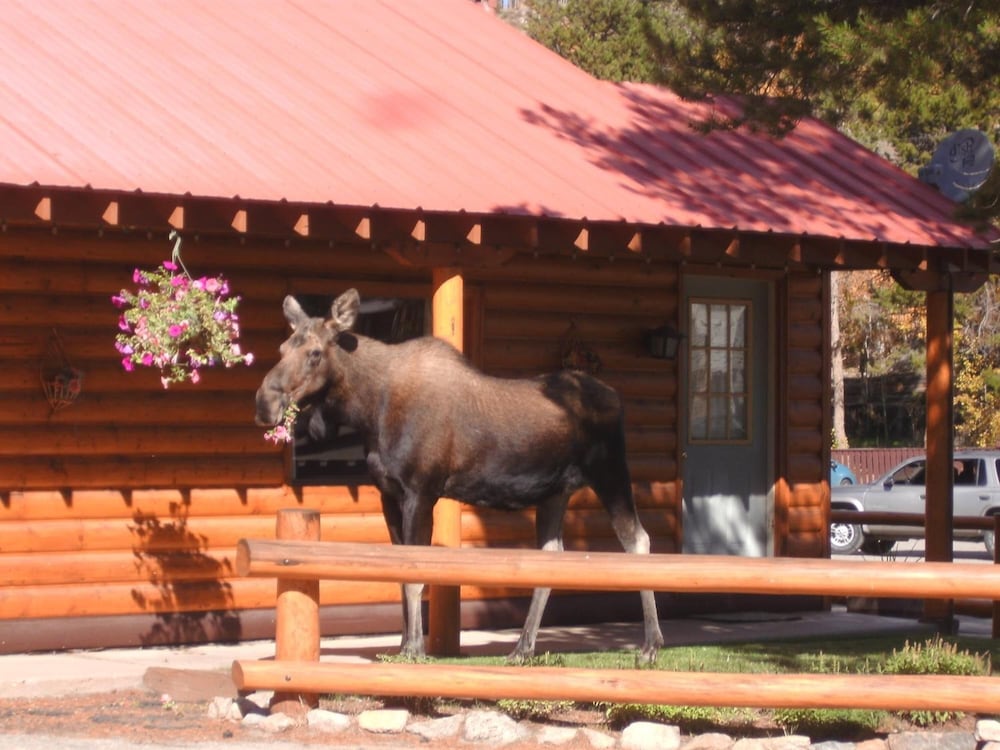 Lone Eagle Lodge - Property Image 10